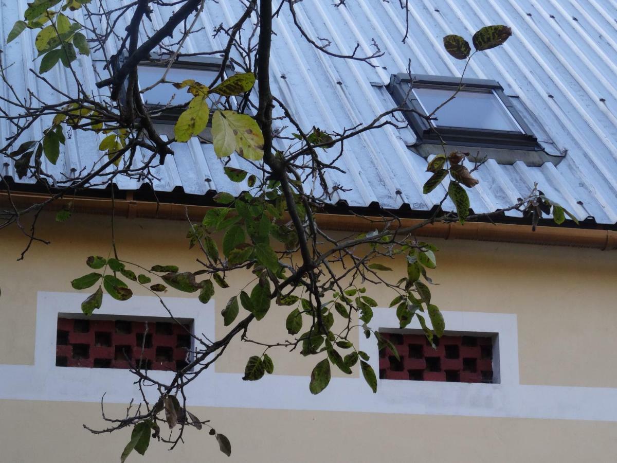 U Nas - Apartman Zajic Vapenna Bagian luar foto